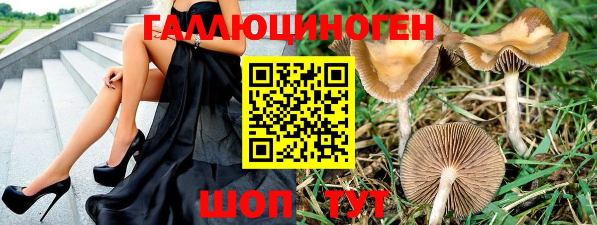 Галлюциногенные грибы MAGIC MUSHROOMS Абинск
