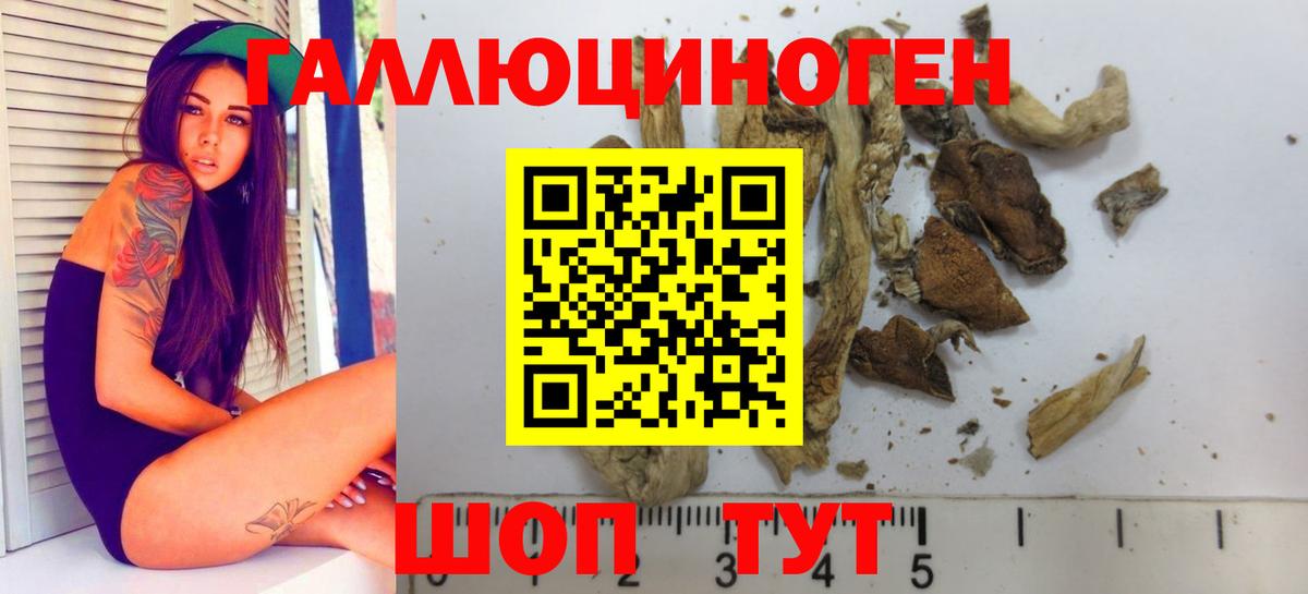 Псилоцибиновые грибы Cubensis Абинск