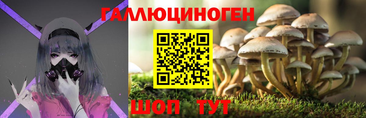 Галлюциногенные грибы ЛСД  Вход с VPN  Абинск 